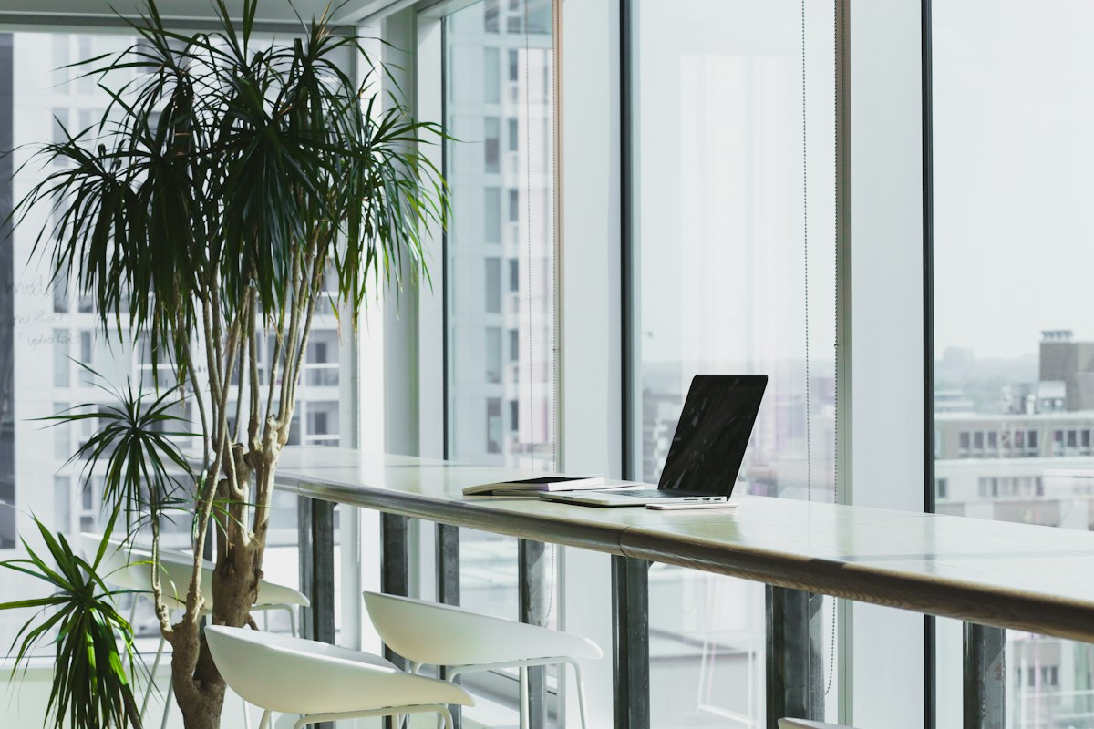 Light-filled work area with desk furniture and indoor plants