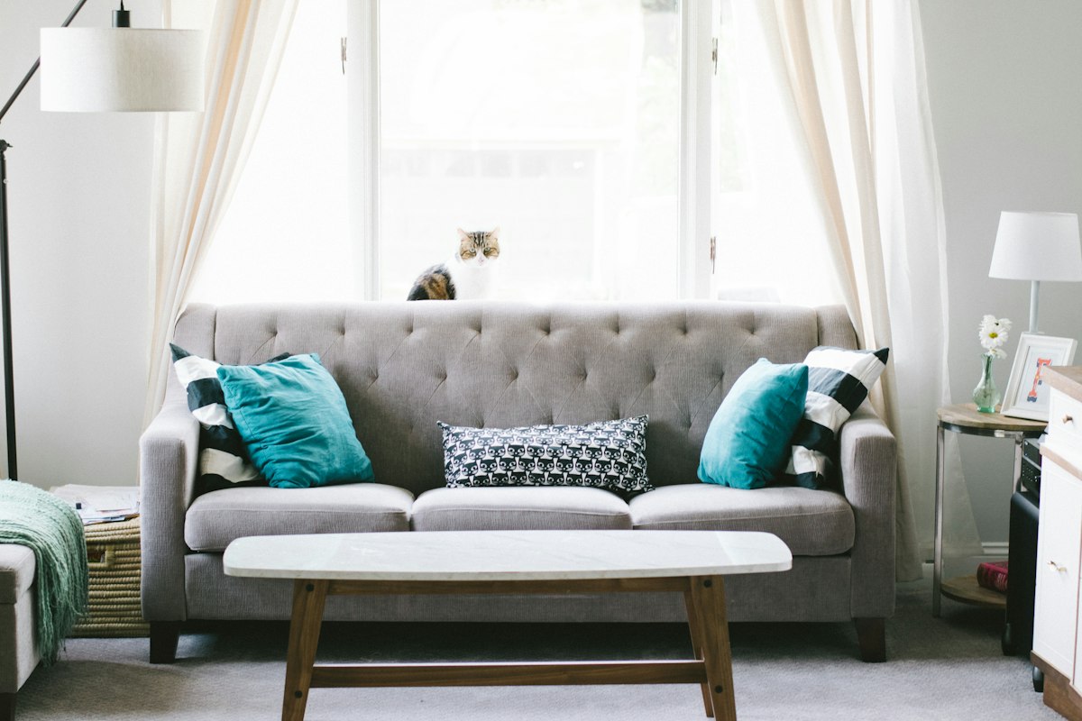 Living room with everyday furnishings and storage surfaces